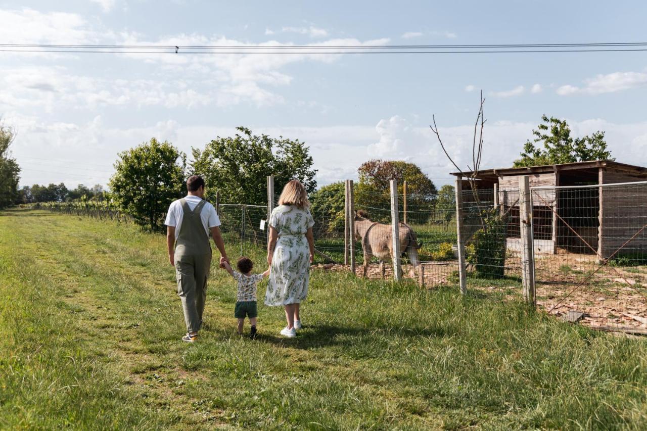 Agriturismo Rechsteiner Ponte di Piave Eksteriør billede